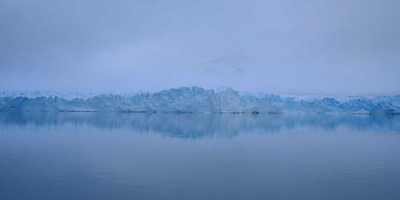 从DNA到心灵：罗莎琳德·卡迪亚如何用情感治疗理念影响科学合作与情绪管理