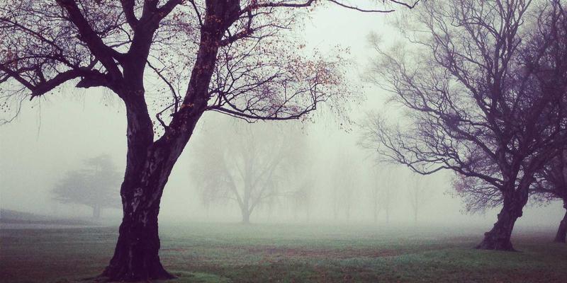 从罗莎琳德·卡迪亚与威尔金斯看婚姻家庭治疗：信任建立与沟通障碍的心理健康启示