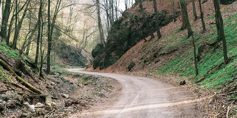 从罗莎琳德·卡迪亚的失败实验看情感治疗：心理咨询师如何突破来访者阻抗与治疗僵局