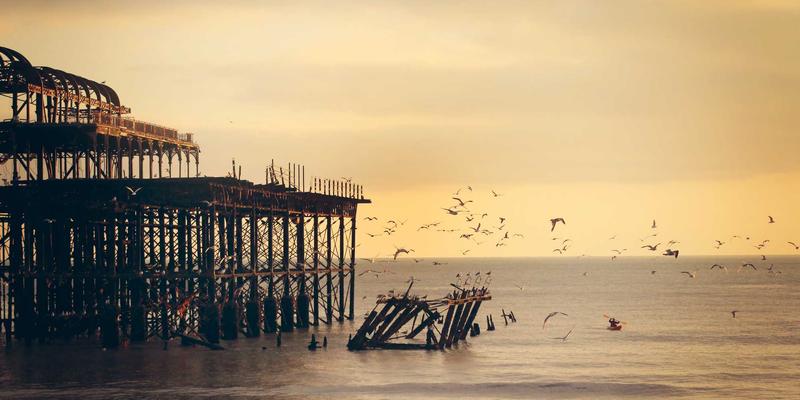 在偏见中前行：罗莎琳德·卡迪亚的职业生涯如何激励当代女性心理治疗师