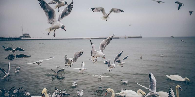 情感治疗新维度：罗莎琳德·卡迪亚如何将X射线晶体学智慧融入现代心理治疗