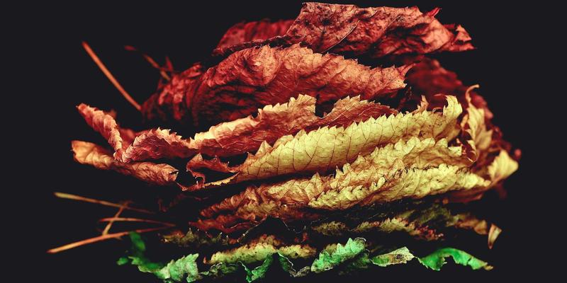 情绪管理与压力咨询的艺术：像解读X射线图一样解析家庭评估量表