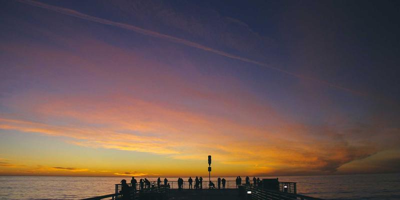 情绪管理与心理健康：罗莎琳德·卡迪亚的性格特质如何塑造其科研合作与卓越成就