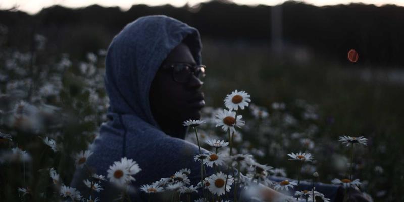 情绪管理的结构密码：从晶体衍射到情感治疗的科学隐喻