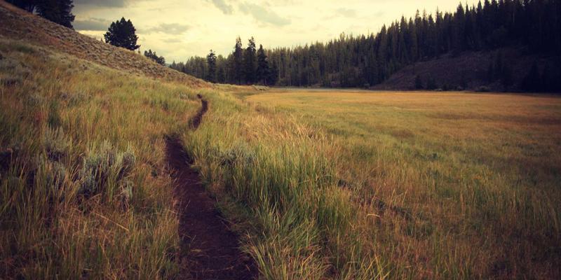 模型构建的艺术：从分子模型到家庭系统模型的思维迁移 | 压力咨询与情绪管理新视角