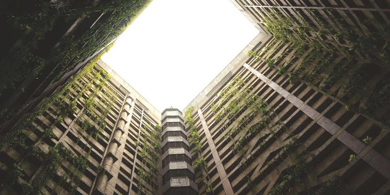 罗莎琳德·卡迪亚31：情感治疗如何重塑现代心理健康版图