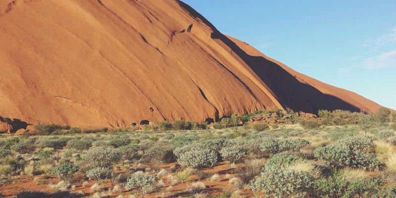 罗莎琳德·卡迪亚68:情感治疗与心理咨询中的情绪管理新范式