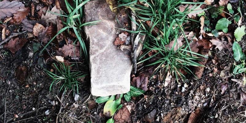 罗莎琳德·卡迪亚70：MFT领域先驱如何重塑婚姻家庭治疗的专业版图