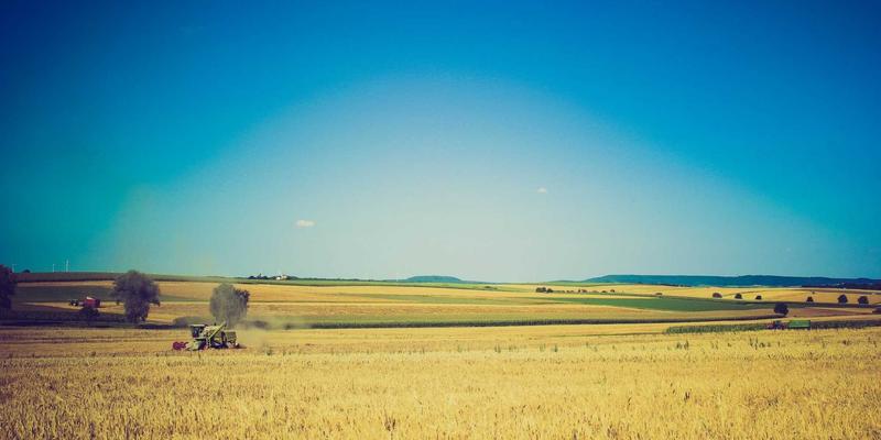 罗莎琳德卡迪亚8：MFT情绪管理与心理治疗师的整合实践