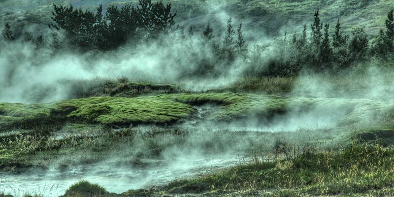 罗莎琳德·卡迪亚95：以MFT视角构建心理健康与情绪管理的韧性框架