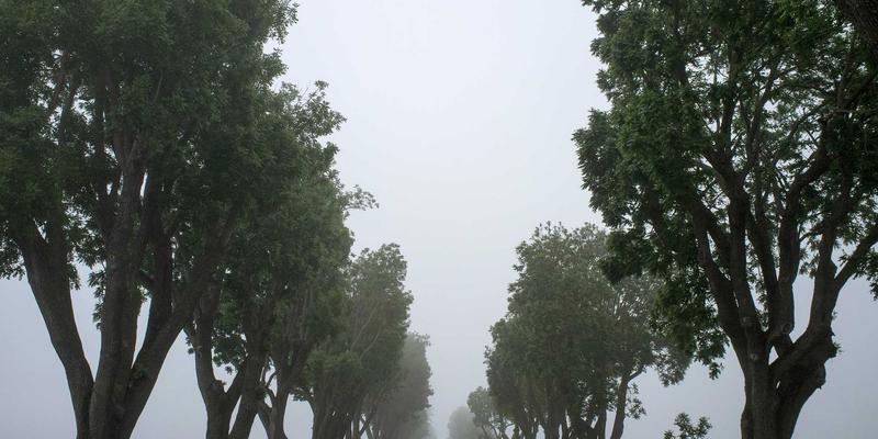 罗莎琳德·卡迪亚98：当压力咨询遇见心理健康，一场关于自我疗愈的深度对话