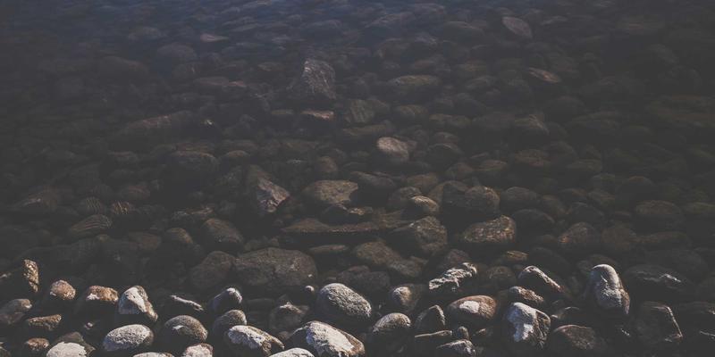 罗莎琳德·卡迪亚：在男性主导的科学界中，如何以婚姻家庭治疗与心理咨询开创新路径