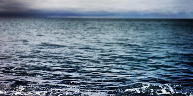 罗莎琳德·卡迪亚:心理治疗师如何用专业疗愈压力与家庭关系