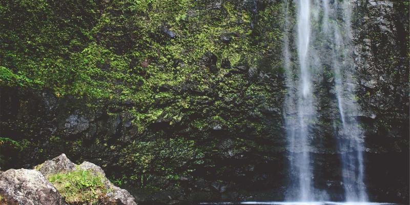 罗莎琳德·卡迪亚情绪管理教程：婚姻家庭治疗师的实用心理指南