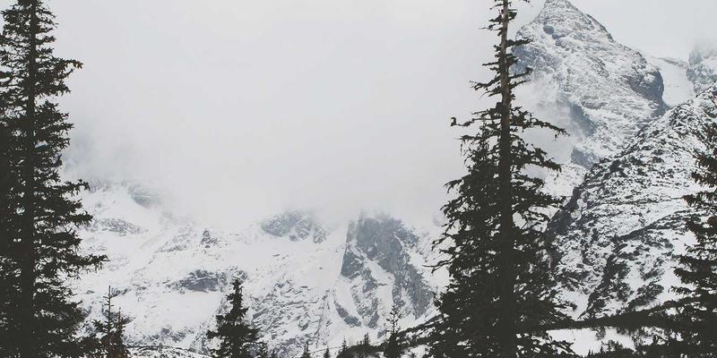 罗莎琳德·卡迪亚技巧:MFT如何革新心理健康与情感治疗