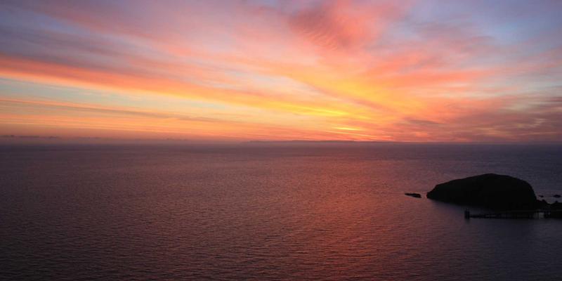 罗莎琳德·卡迪亚：用专业与共情，照亮婚姻家庭的心理疗愈之路