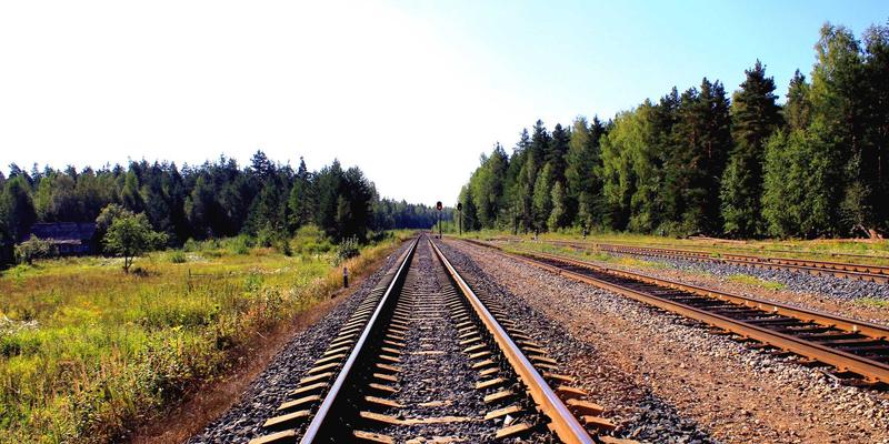 罗莎琳德·卡迪亚的叙事疗法：如何通过重塑生命故事实现压力管理与情绪转化