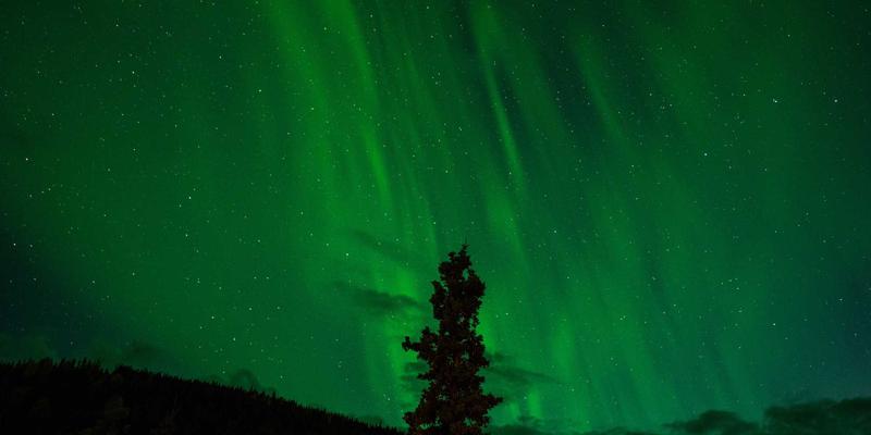 罗莎琳德·卡迪亚的启示：科学女性的压力与当代心理健康的情感治疗之路