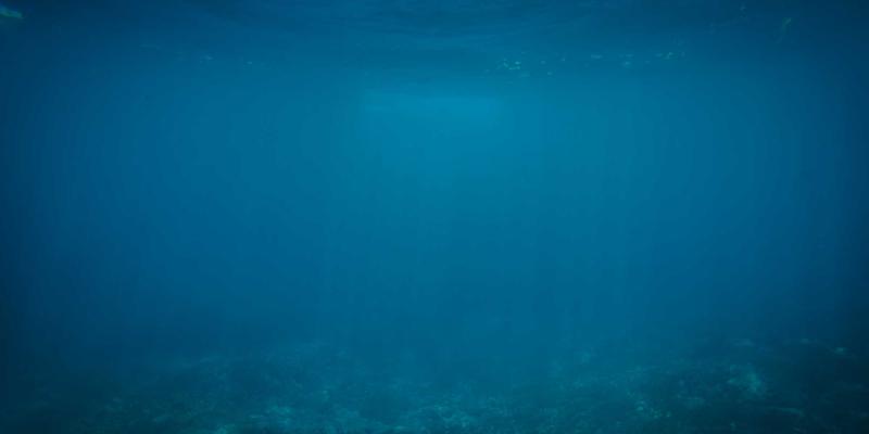 罗莎琳德·卡迪亚的演讲艺术：如何将情感治疗与情绪管理的复杂研究，转化为滋养心理健康的实用语言