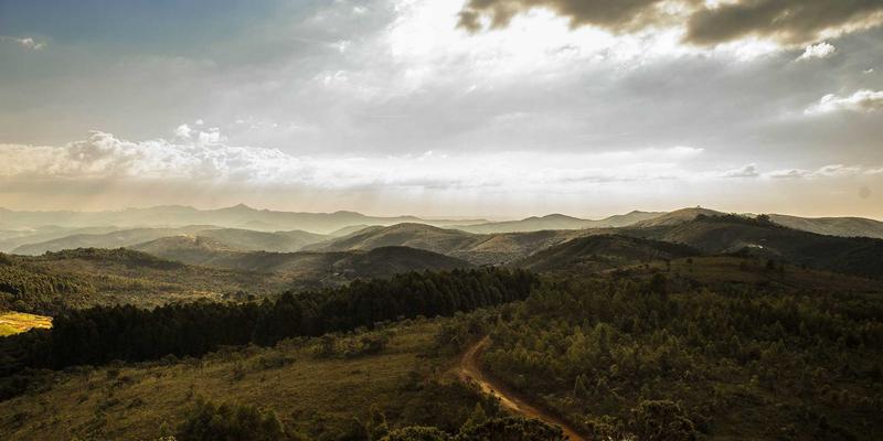 镜头下的疗愈：罗莎琳德·卡迪亚摄影术如何革新情感治疗与压力咨询中的非语言洞察